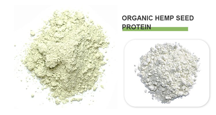 Hemp Seed Protein Powder.jpg